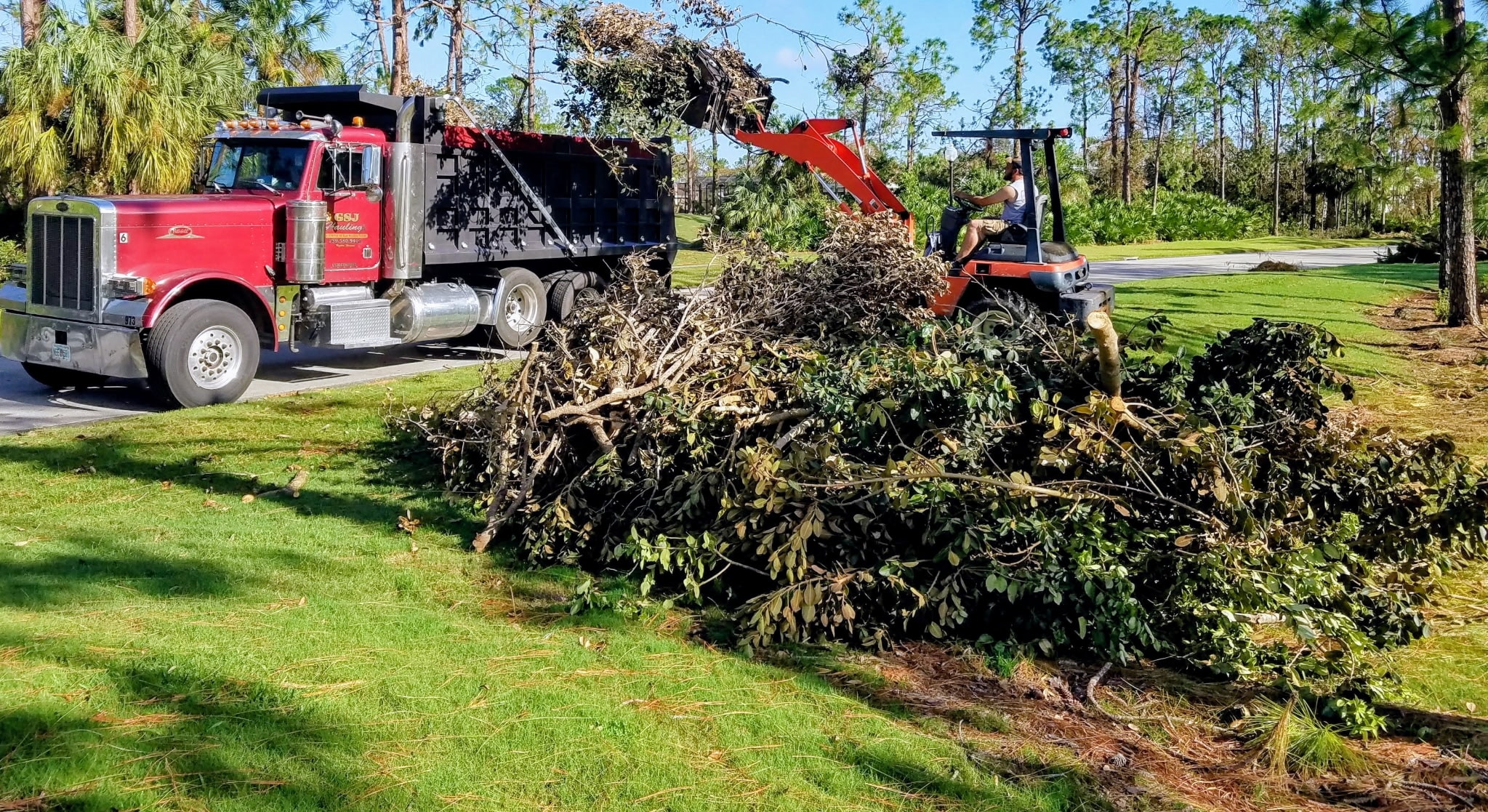 Storm Debris Cleanup / Junk Removal